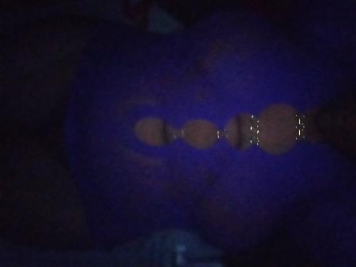 Profile picture 1